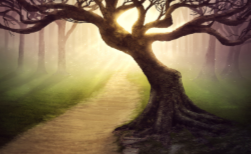 Shamanic Spray Middle World